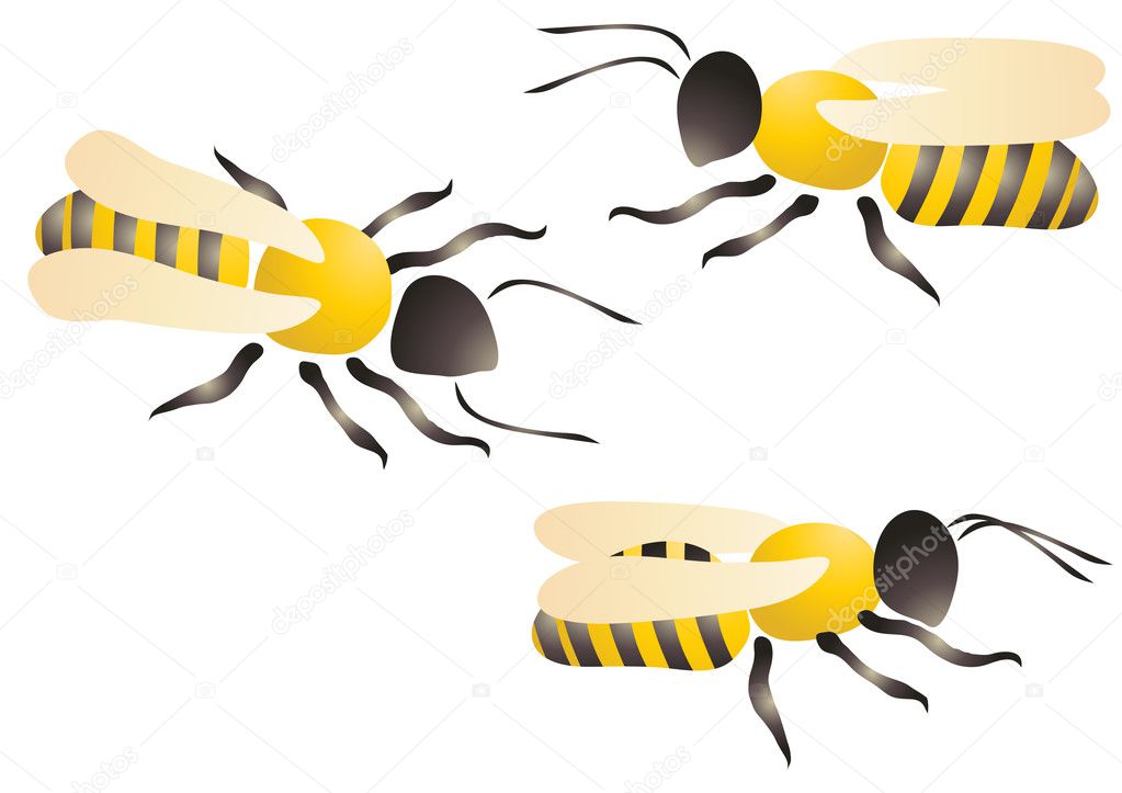 Bees or wasps