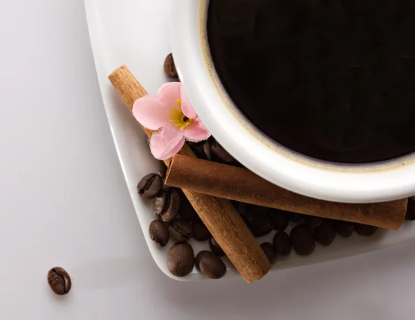 Кава та кориця — стокове фото