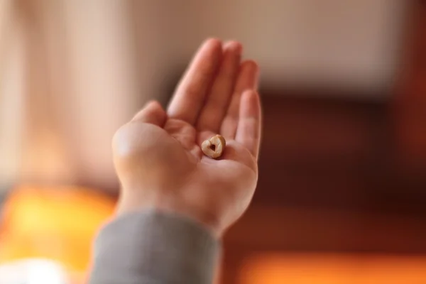 stock image Peanuts