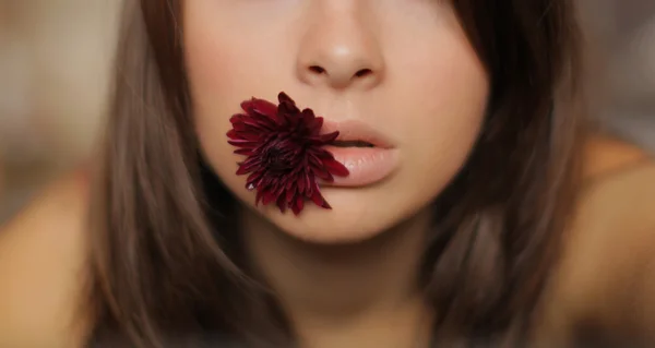 Nahaufnahme Porträt einer jungen schönen Frau mit einer Blume lizenzfreie Stockfotos