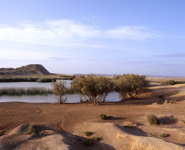 沙漠中的绿洲 — 图库照片