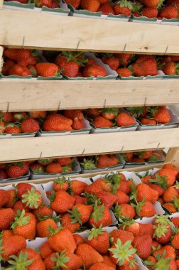 Strawberries ready for sale clipart