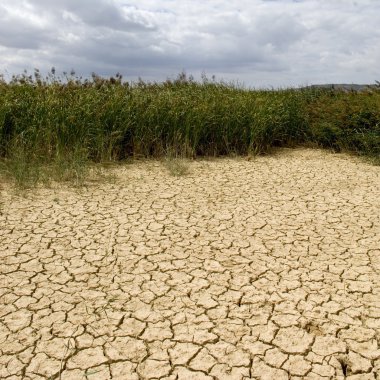 Bardenas Reales