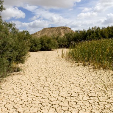 Bardenas Reales