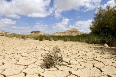 Bardenas Reales