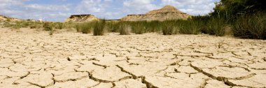 Bardenas Reales