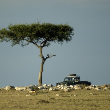 Masai mara Kenya