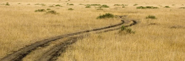 Masai mara — Stock fotografie