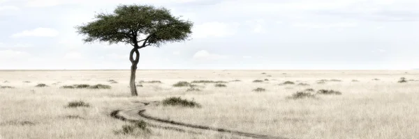 Masajka Mara — Zdjęcie stockowe