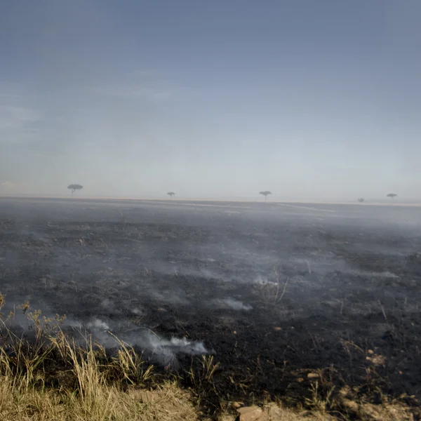 Fire at Masai mara Kenya — Stock Photo, Image