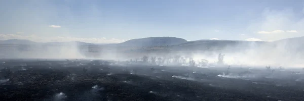 Fire at Masai mara Kenya — Stock Photo, Image