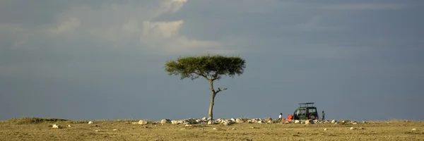 Masai mara Kenia —  Fotos de Stock