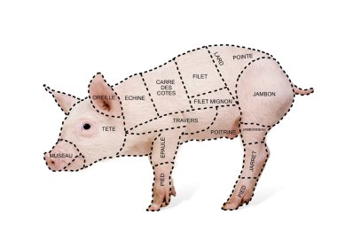 Pork cut chart poster in french clipart