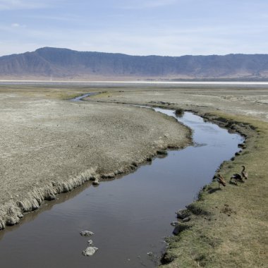 görünümü görünüm ngorongoro krateri, Tanzanya