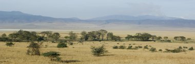 görünümü görünüm ngorongoro krateri, Tanzanya