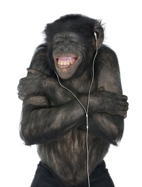 maymun müzik dinleme