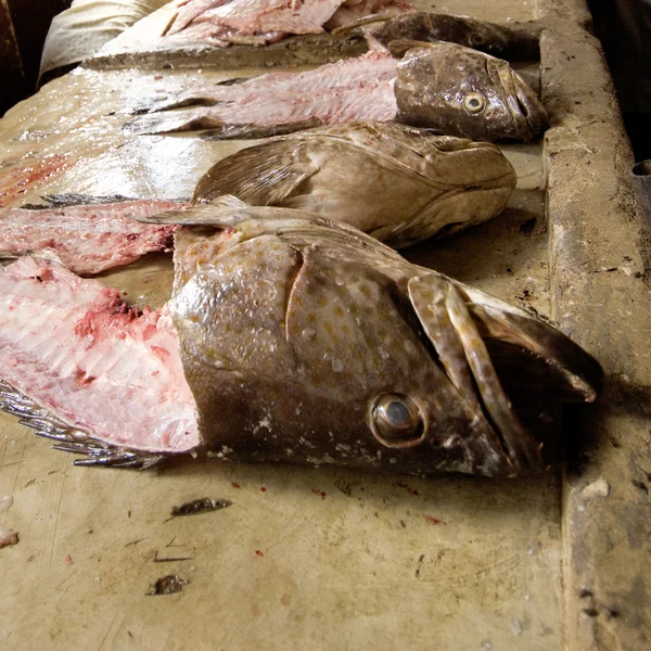 Fish meat — Stock Photo, Image