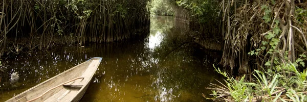 Pantano de manglares —  Fotos de Stock