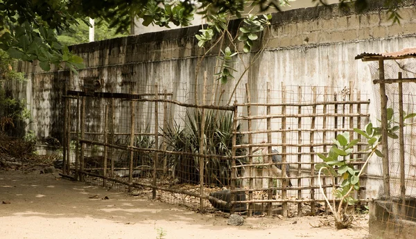 Gaiola em um zoológico — Fotografia de Stock