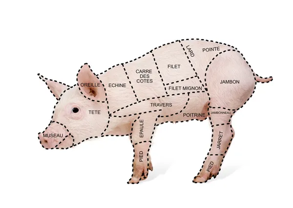 Schweinefleisch geschnittenes Chart Poster auf Französisch — Stockfoto