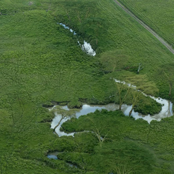 Вид с воздуха на реку в Серенгети — стоковое фото