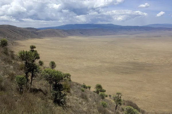 Widok na krater ngorongoro, tanzania — Zdjęcie stockowe