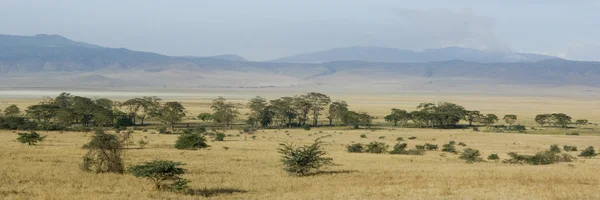 Vista del cráter de Ngorongoro, tanzania — Foto de Stock