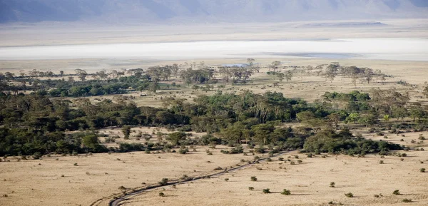 Weergave van de weergave ngorongoro krater, tanzania — Stockfoto