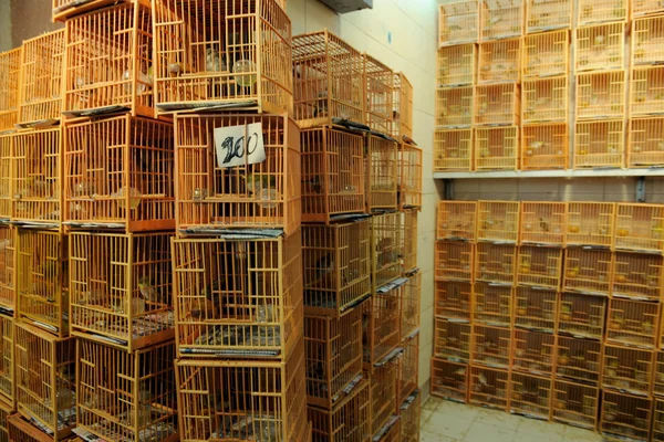 Ptak rynku w Chinach — Zdjęcie stockowe