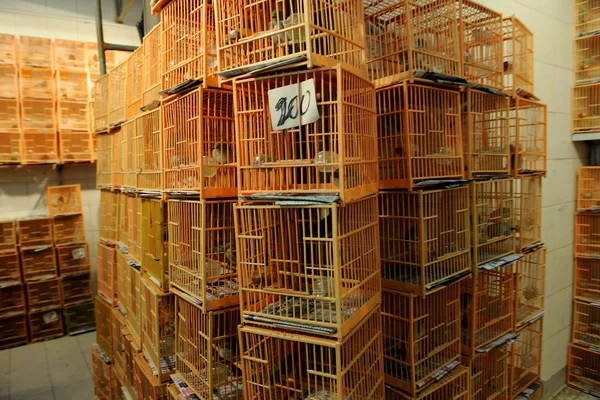 Mercado de aves en China — Foto de Stock