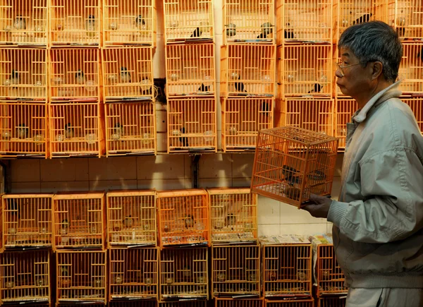 Bird market in China — Stock Photo, Image
