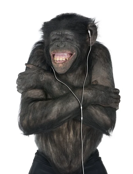 Affe hört Musik — Stockfoto