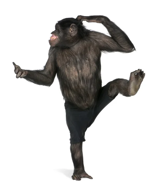 Мавпа танцює на одній нозі — стокове фото