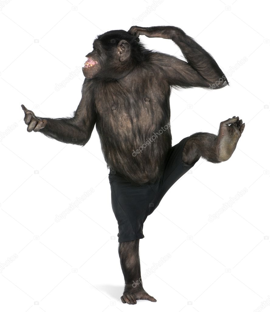 Monkey dancing on one foot