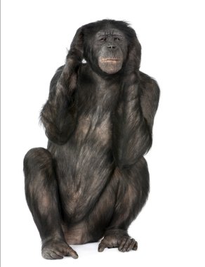 Hear no Evil monkey clipart