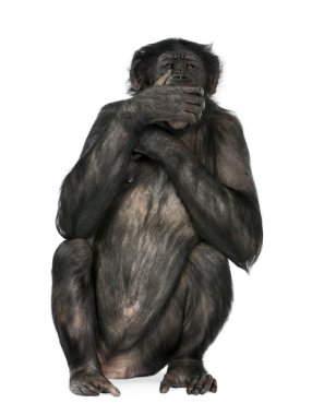 Speak no evil monkey clipart