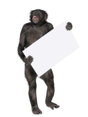 Protesting monkey clipart