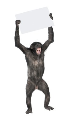 Protesting monkey clipart