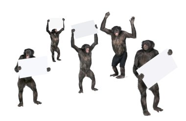 Protesting monkey clipart