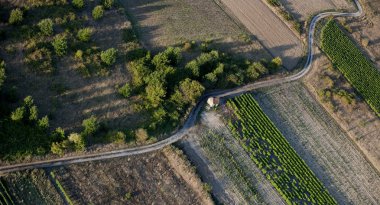 Aerial view of empty road and fields clipart