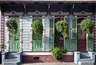 Hanging plants in front of house in New Orleans, Louisiana clipart