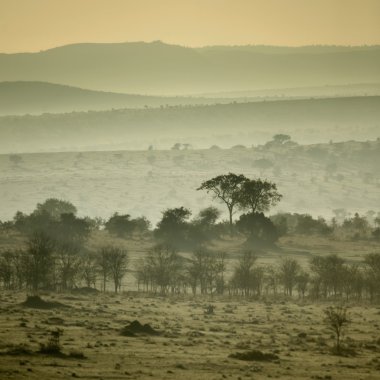 Africa landscape Serengeti National Park, Serengeti, Tanzania clipart