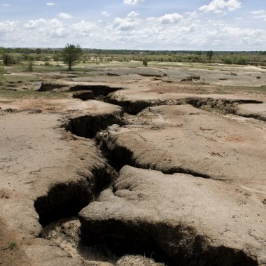 Dry and cracked African landscape, Tanzania, Africa clipart
