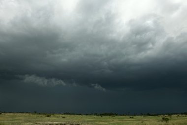 yağmur bulutu Afrika peyzaj, serengeti Milli Parkı, ser