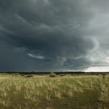 yağmur bulutu Afrika peyzaj, serengeti Milli Parkı, ser