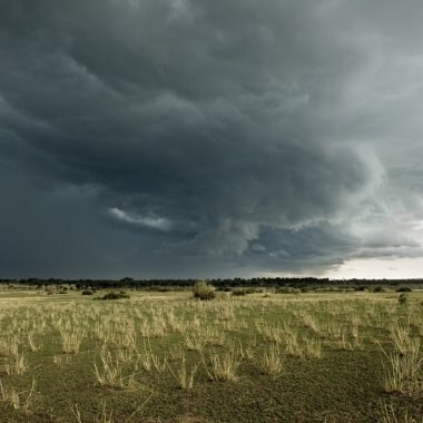 Rain cloud over Africa landscape, Serengeti National Park, Seren clipart