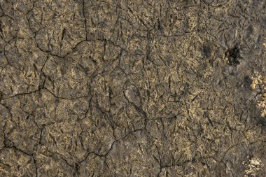 Textured dry ground of a salt lake clipart