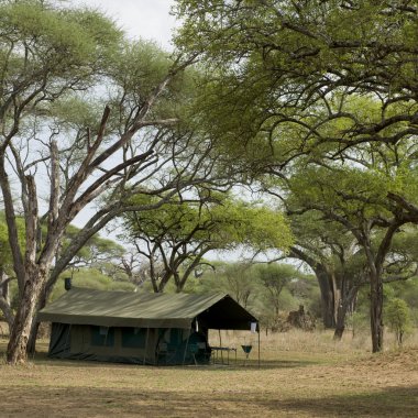 kamp çadır serengeti, Tanzanya, Afrika