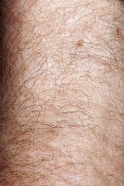 Close-up of human skin and hair on arm clipart