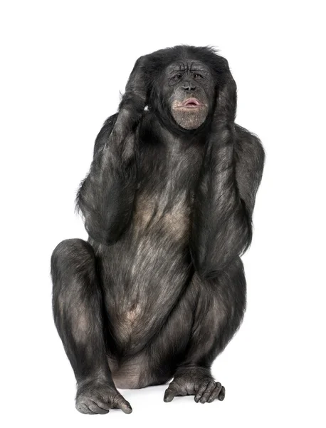 Słyszeć nie zła małpa — Zdjęcie stockowe